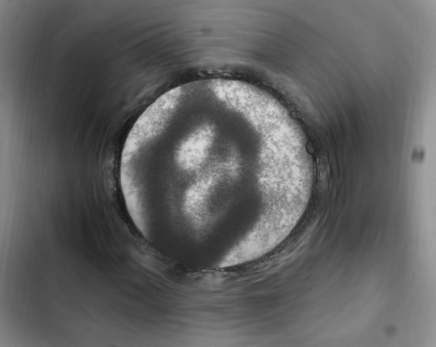 X0000102801060200809150923