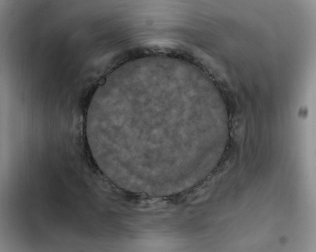 X0000102801061200809150923