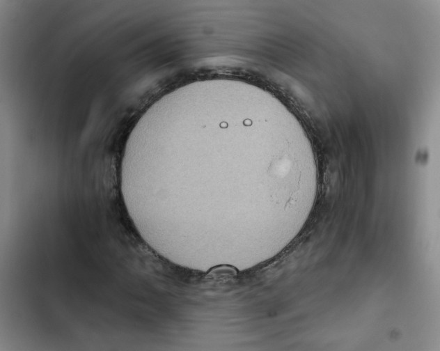 X0000102801062200809150923