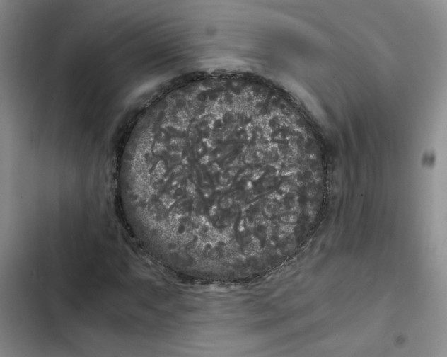 X0000102801063200809150923