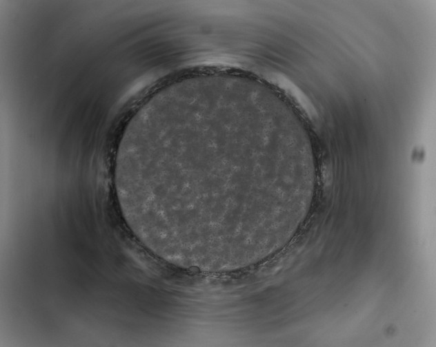 X0000102801064200809150923