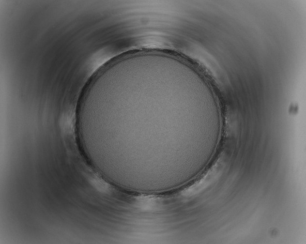 X0000102801065200809150923