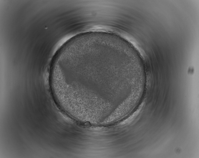 X0000102801066200809150923