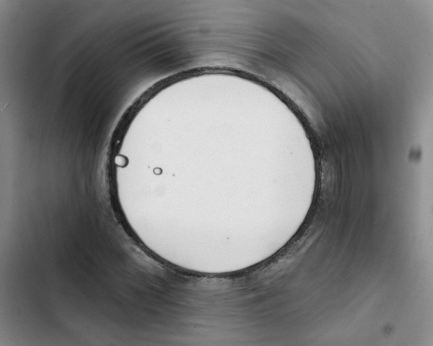 X0000102801068200809150923