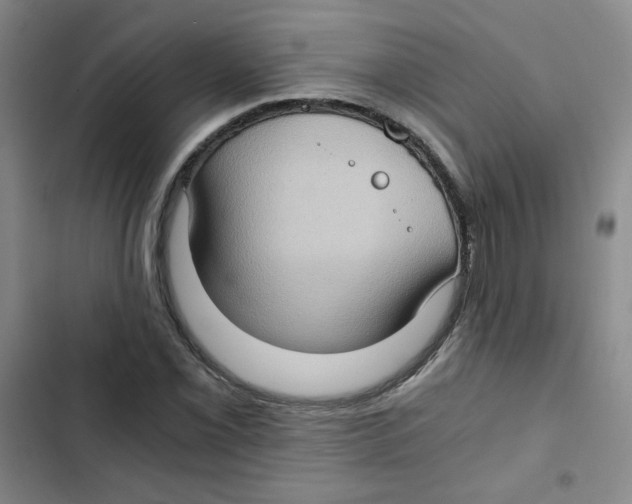 X0000102801069200809150923