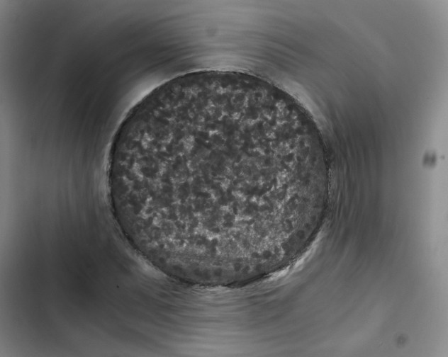 X0000102801071200809150923