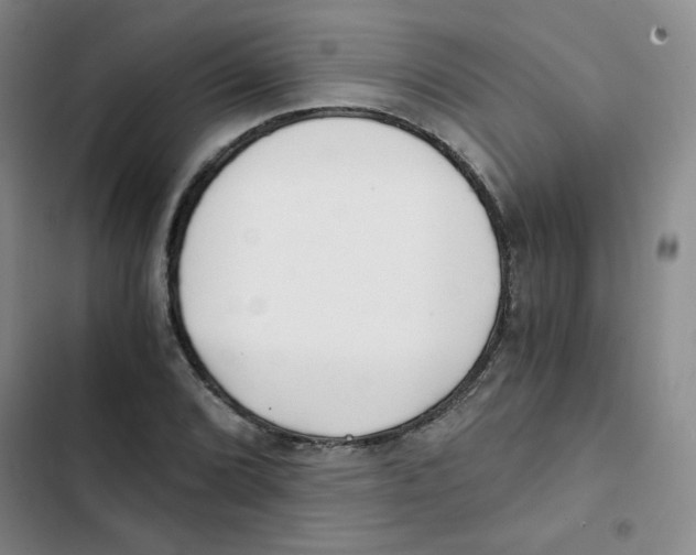 X0000102801072200809150923