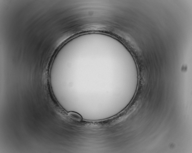 X0000102801073200809150923