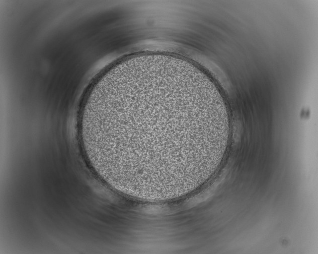 X0000102801074200809150923