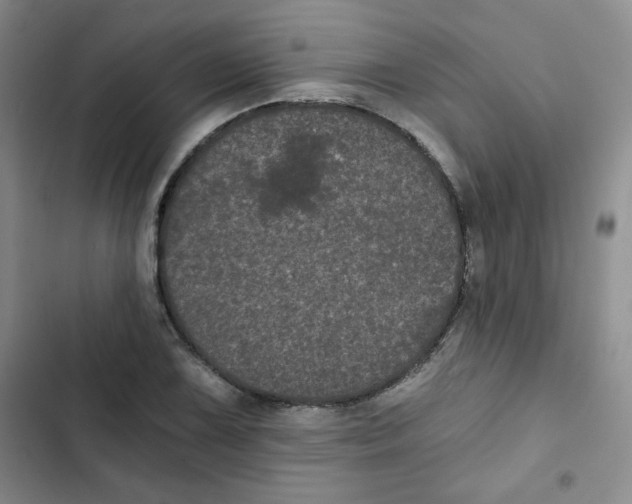 X0000102801075200809150923