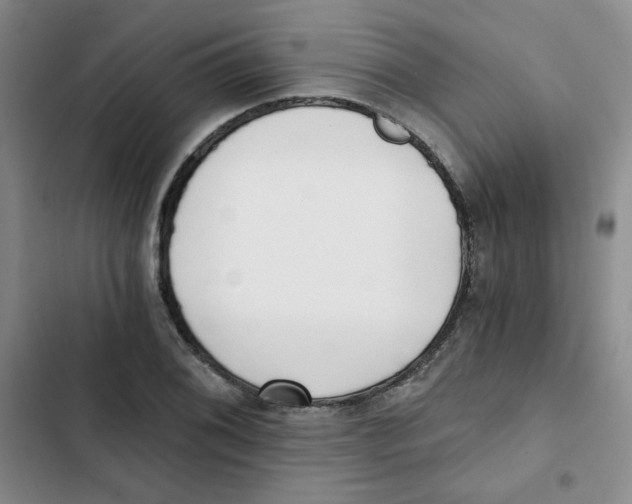 X0000102801076200809150923