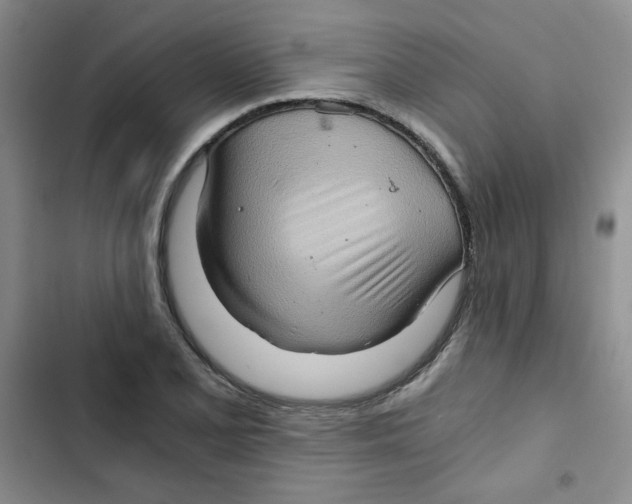 X0000102801077200809150923