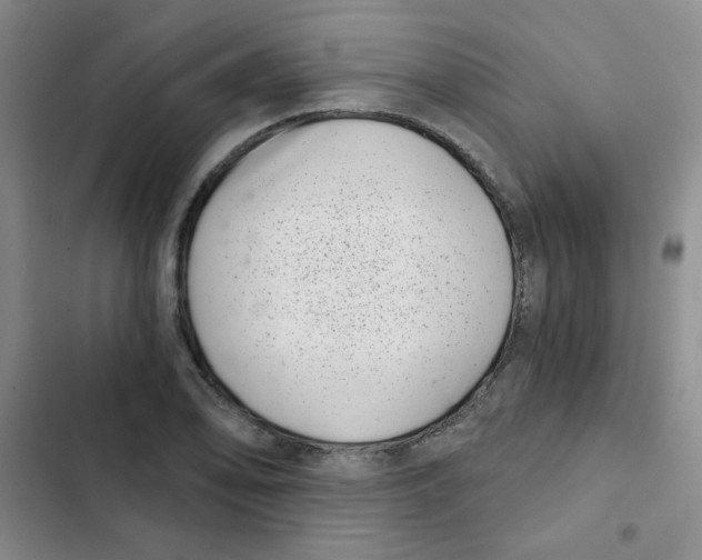 X0000102801078200809150923