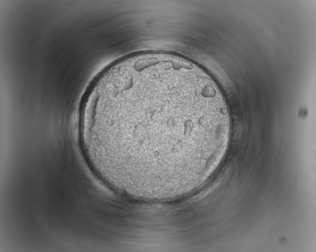 X0000102801079200809150923