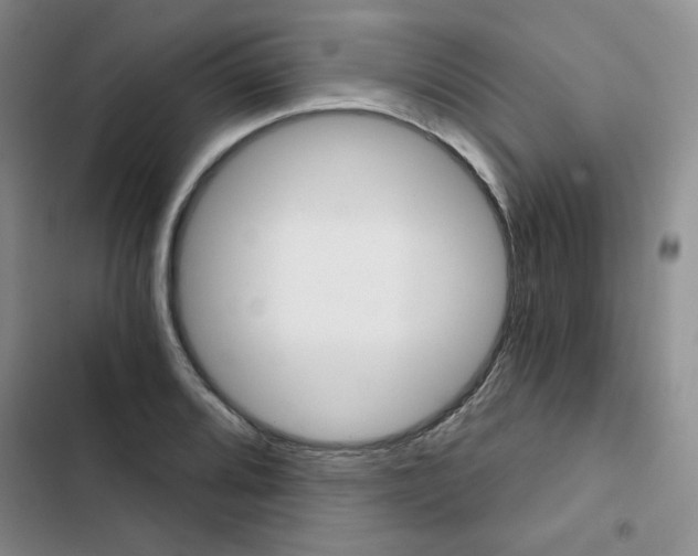 X0000102801080200809150923