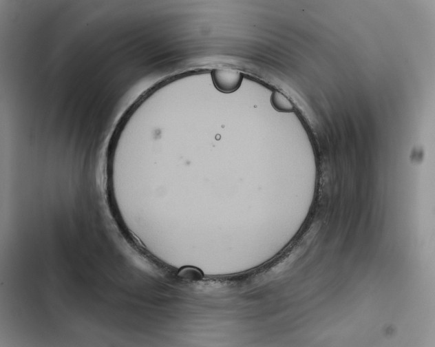 X0000102801082200809150923