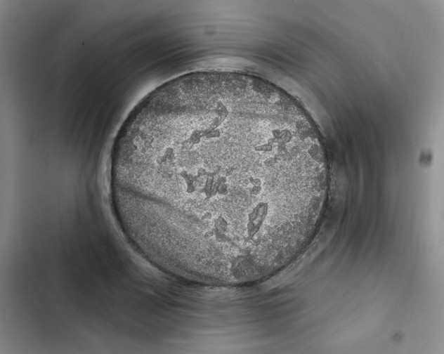 X0000102801083200809150923