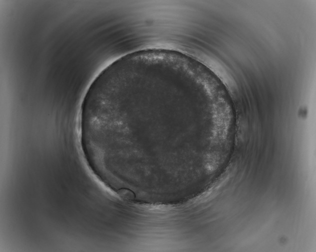 X0000102801084200809150923