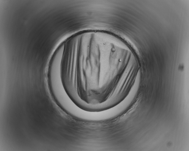 X0000102801085200809150923