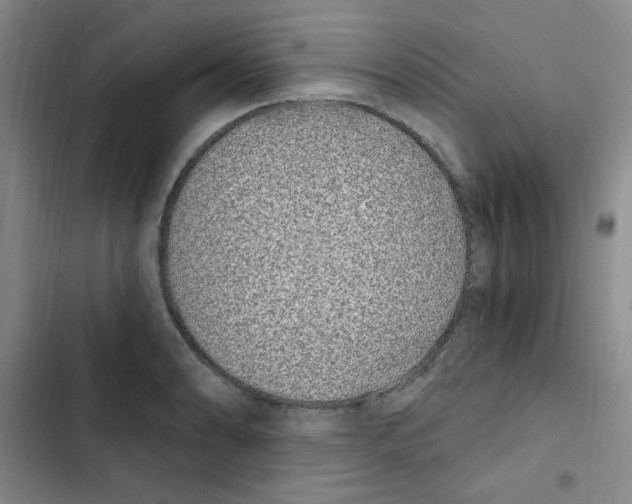 X0000102801086200809150923