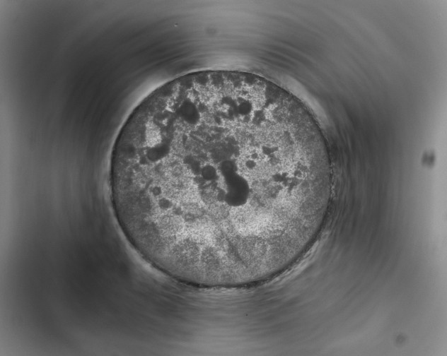 X0000102801087200809150923