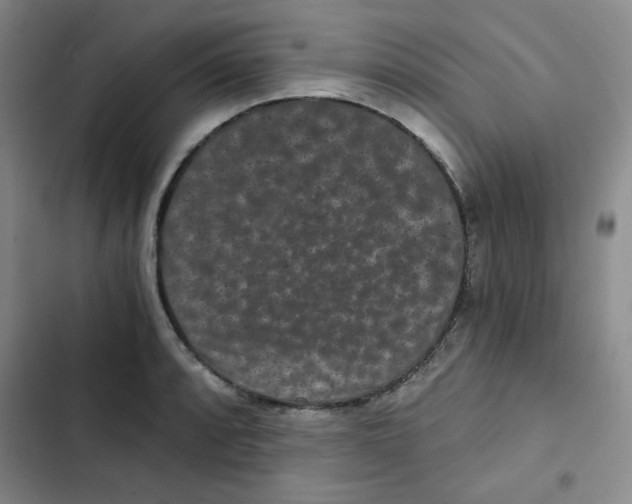 X0000102801088200809150923