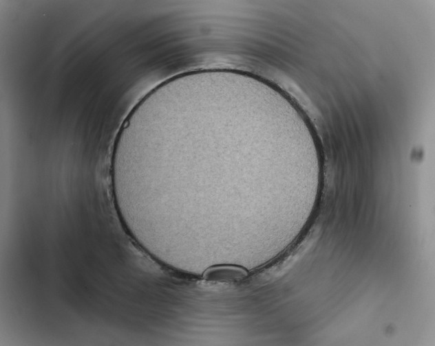 X0000102801089200809150923