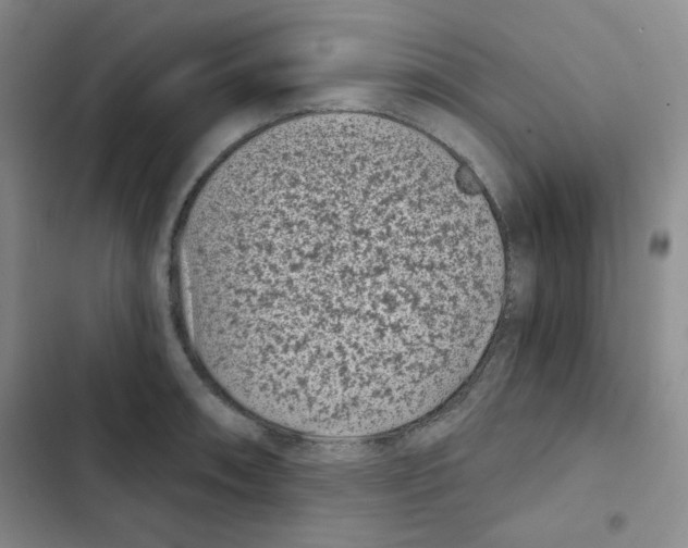 X0000102801090200809150923