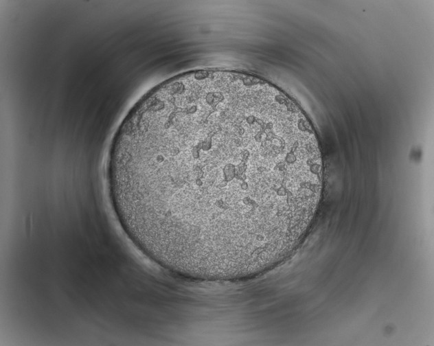 X0000102801091200809150923