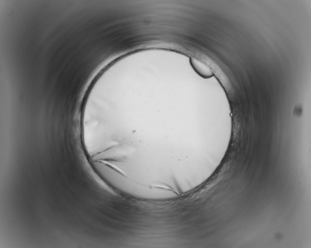 X0000102801092200809150923