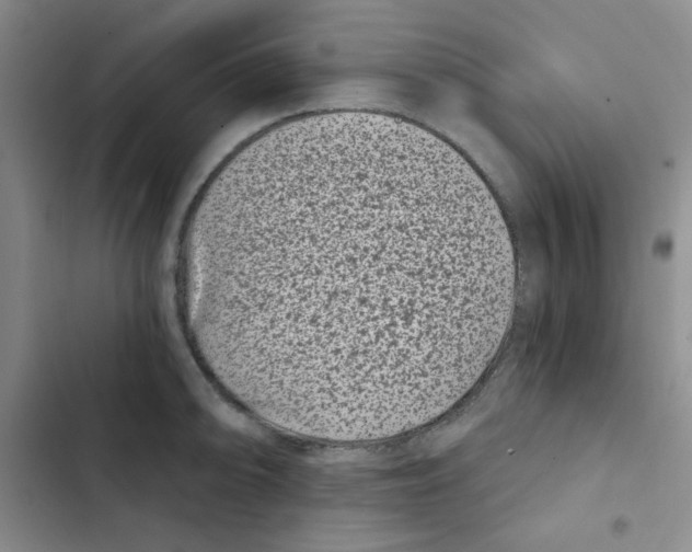 X0000102801094200809150923