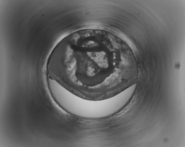 X0000102801095200809150923