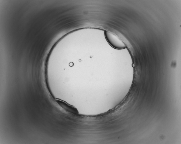 X0000102801096200809150923