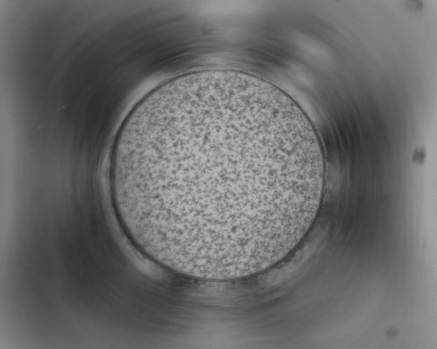 X0000102801098200809150923