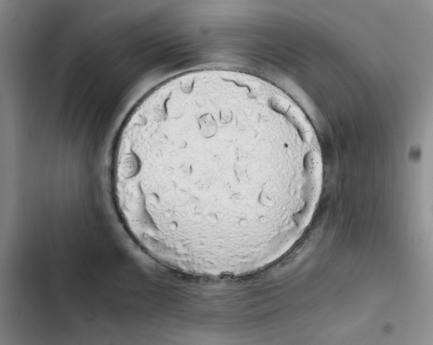 X0000102801099200809150923