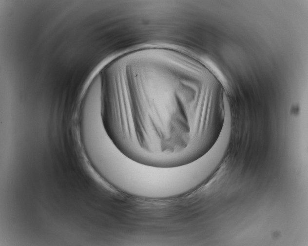 X0000102801100200809150923