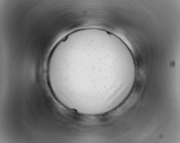 X0000102801101200809150923