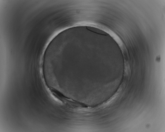 X0000102801102200809150923