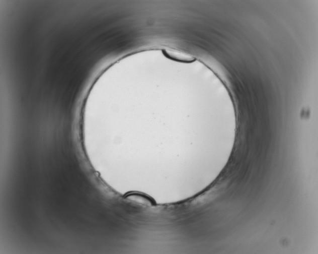 X0000102801104200809150923