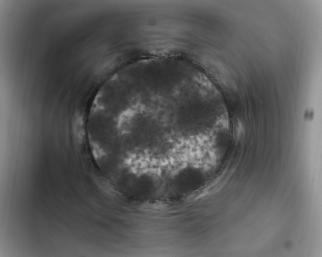 X0000102801106200809150922