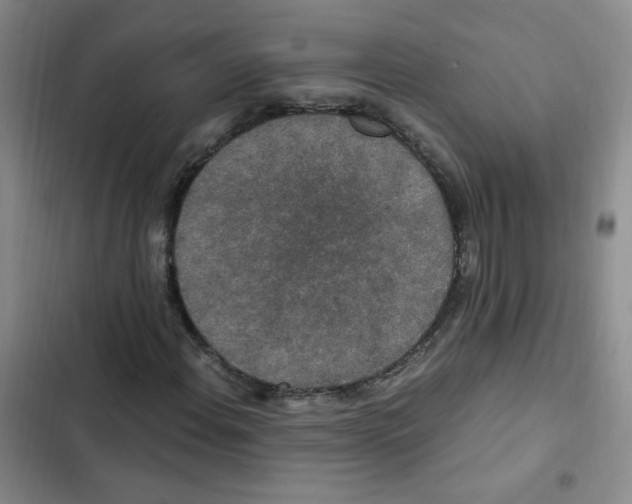 X0000102801108200809150922