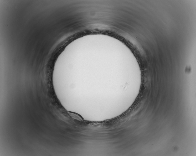 X0000102801112200809150922