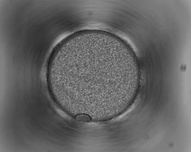 X0000102801114200809150922