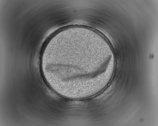 X0000102801115200809150922