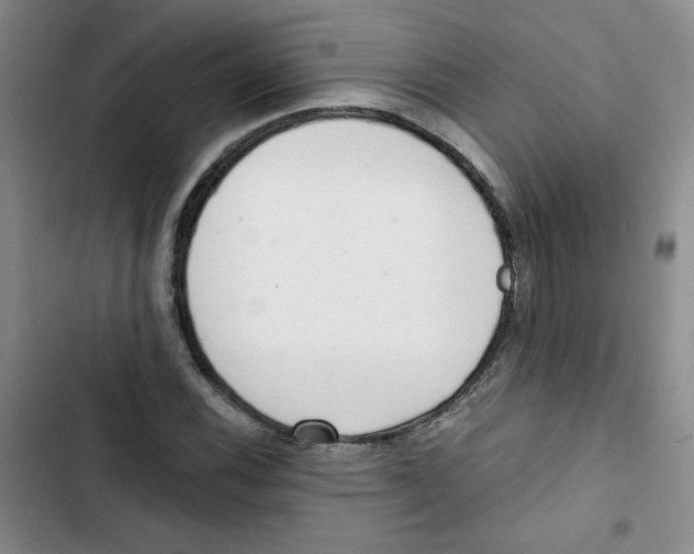 X0000102801116200809150922