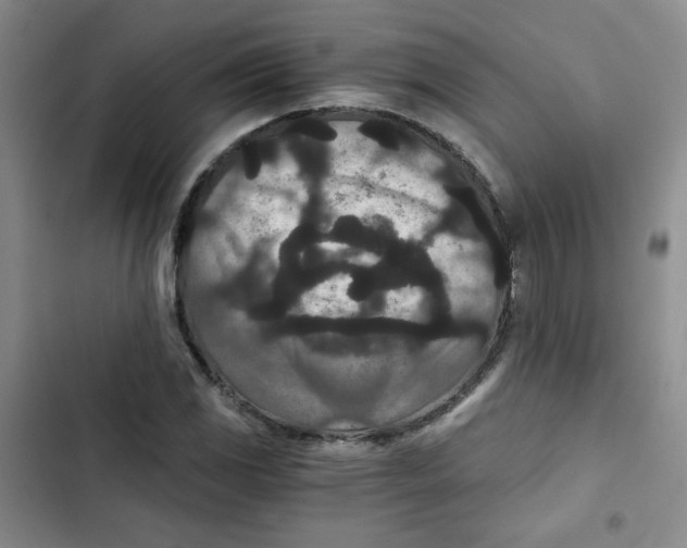 X0000102801117200809150922