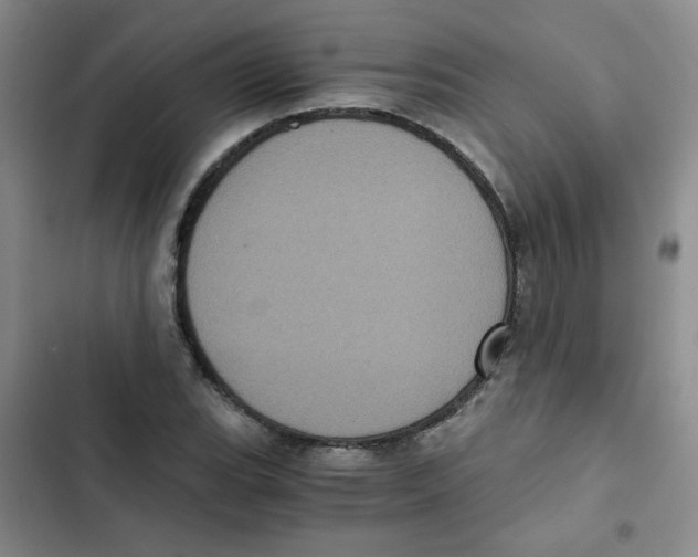 X0000102801119200809150922