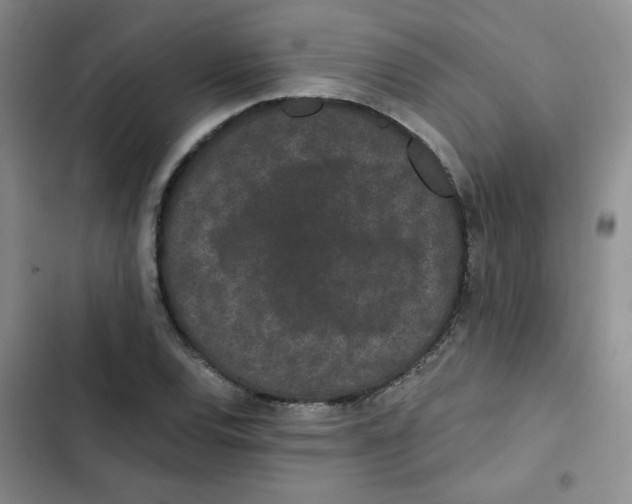 X0000102801120200809150922