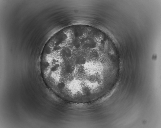 X0000102801121200809150922