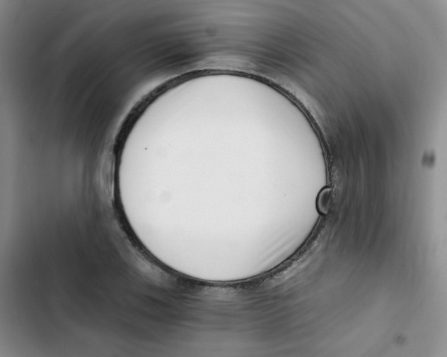 X0000102801123200809150922